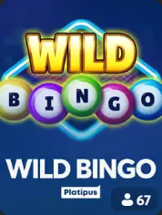 Wild Bingo BC Game الجزائر game cover