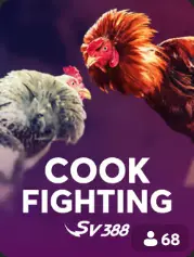 Cock Fighting BC Game الجزائر game cover
